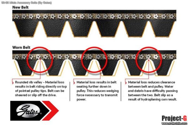 Accessories Belts (PS, AC, PS+AC) [Gates] – 1989-2005 Mazda Miata - Accessory Belt - Image 5